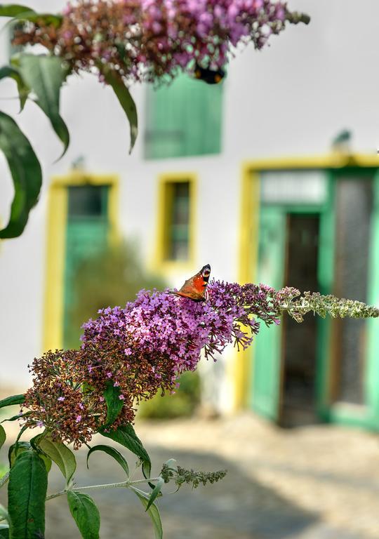 Landhotel Schwarzer Adler Suelzetal ภายนอก รูปภาพ